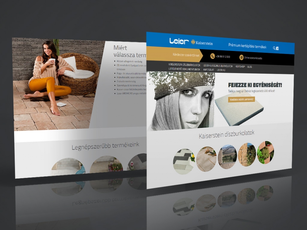 LEIER WEB