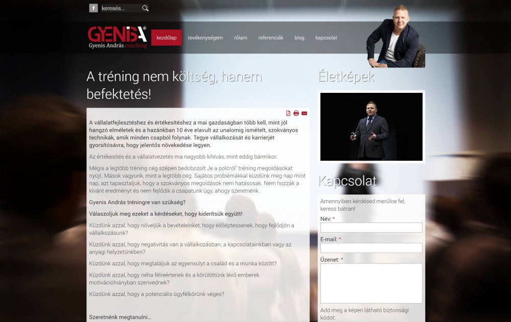 Gyenis András (http://gyenisandras.hu) - monitor nézet